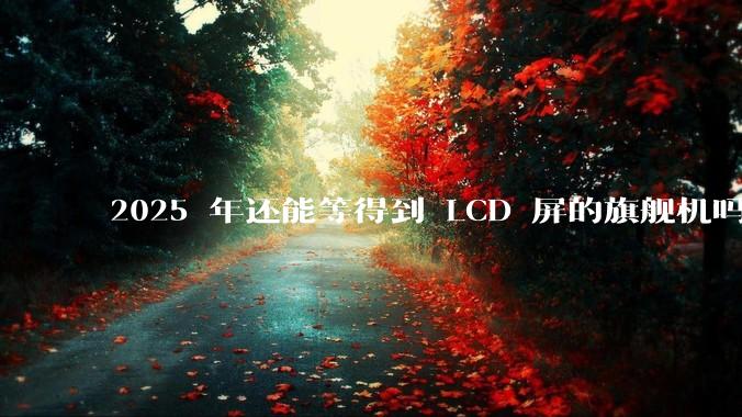 2025 年还能等得到 LCD 屏的旗舰机吗？