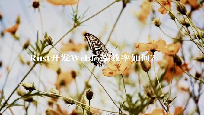 Rust开发Web后端效率如何？